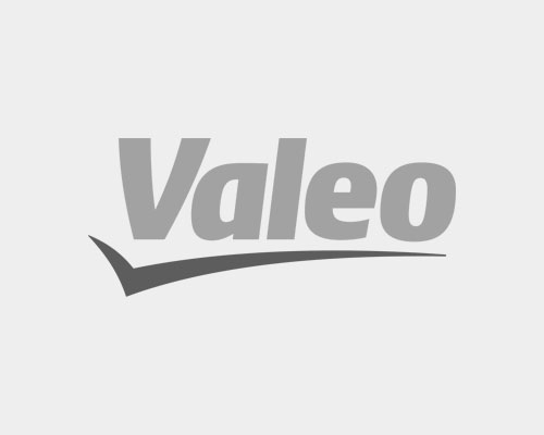 log-valeo-nvg 500x400